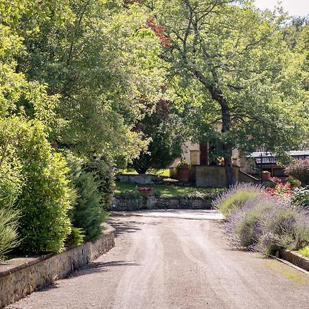 Il Giardino Delle Giare Villa Castiglion Fiorentino Ngoại thất bức ảnh