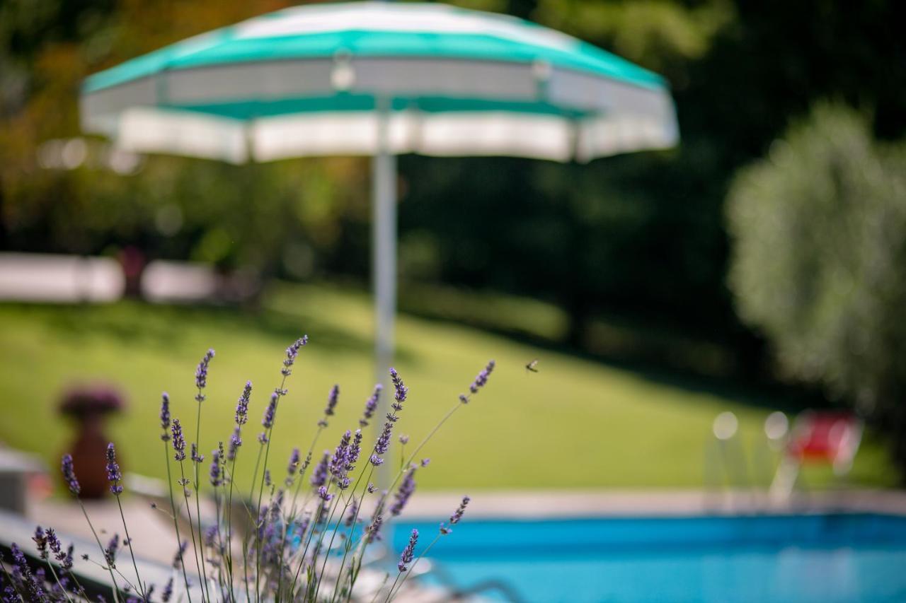 Il Giardino Delle Giare Villa Castiglion Fiorentino Ngoại thất bức ảnh
